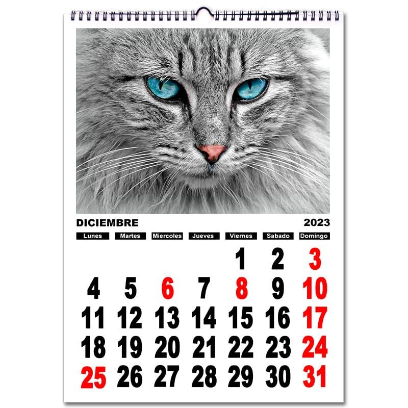 Calendario personalizado con fotos pared NÚMEROS A3