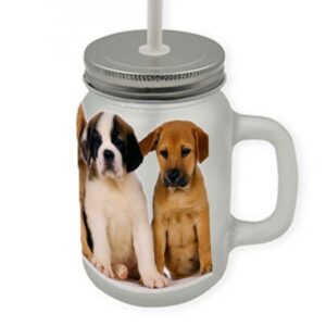 Jarrita personalizada con fotos con tapa y cañita
