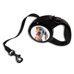 Correa mascota extensible personalizada con fotos