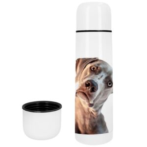 Termo personalizado con fotos 500ml